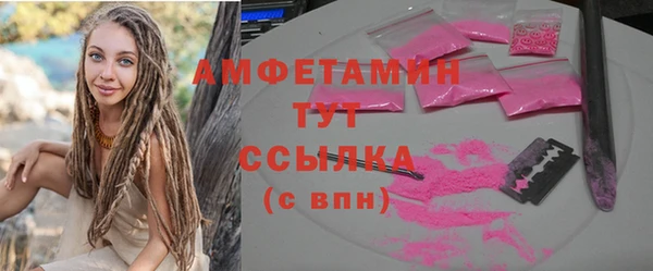мет Дегтярск
