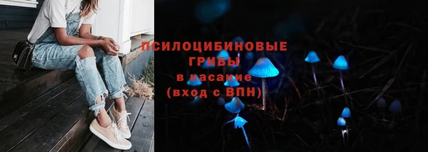 СК Абинск