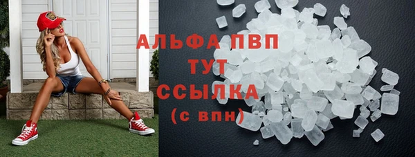 ГАЛЛЮЦИНОГЕННЫЕ ГРИБЫ Данков